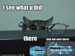 funny-pictures-cat-has-glasses.jpg