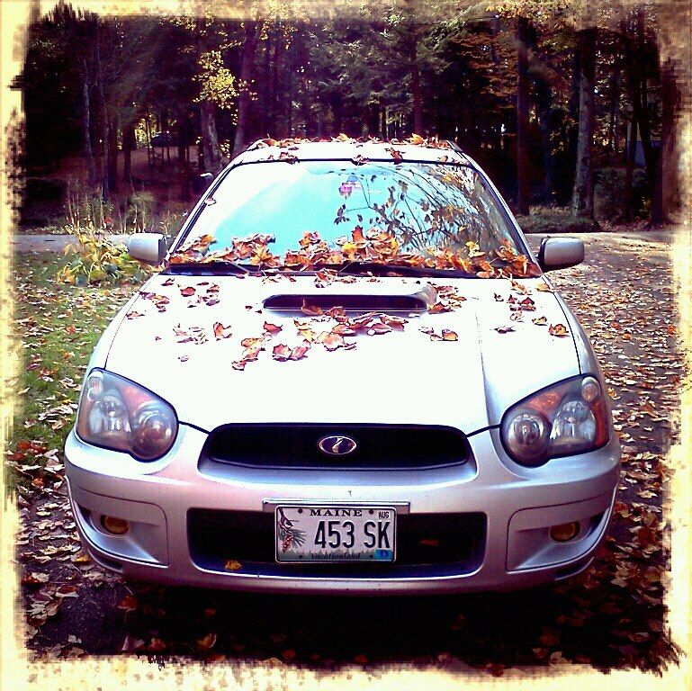 wrxxy_zps60aad92a.jpg
