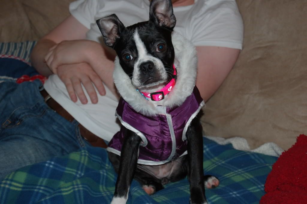 daisy031.jpg