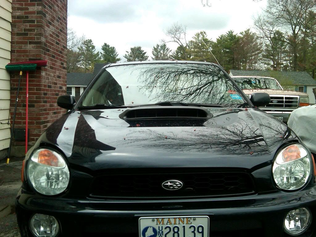 IMG00092-20110505-1234.jpg
