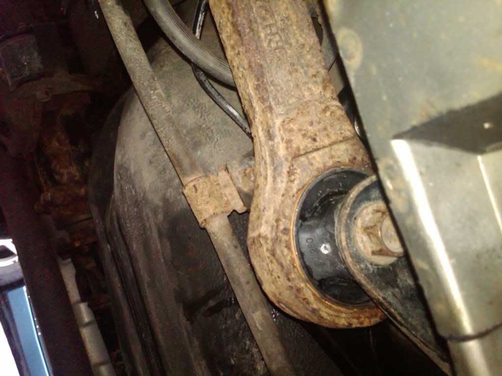 IMG01201-20111002-1046.jpg