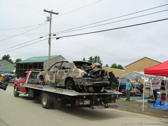 IMG_2187sized.jpg