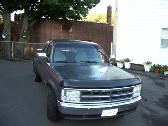 cars049.jpg