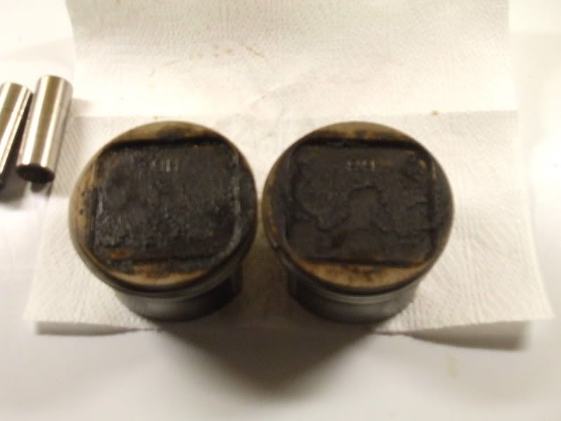 DSCF2048.jpg