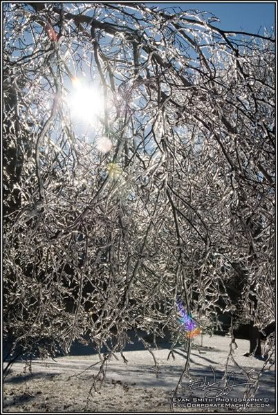 DSC_6869R.jpg