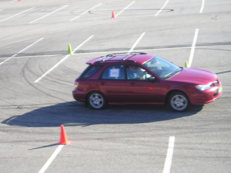P1010042.jpg