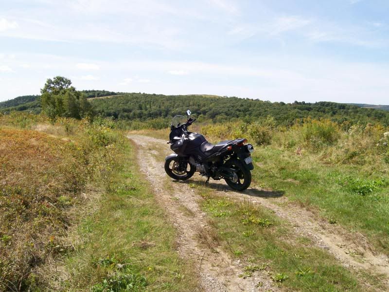 crockeraveandblueberryfield001.jpg