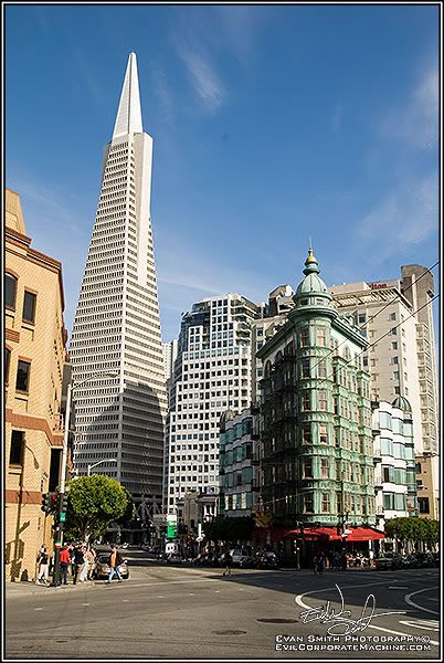 DSC_4121R.jpg
