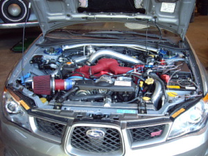 IMGP3094.jpg