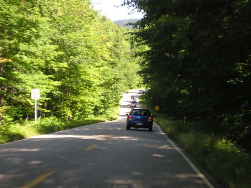 P1010057.jpg