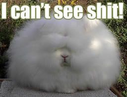 cant-see-bunny.jpg