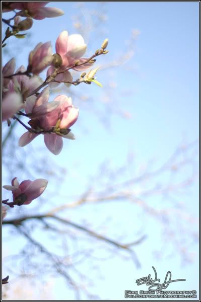 DSC_0277R.jpg