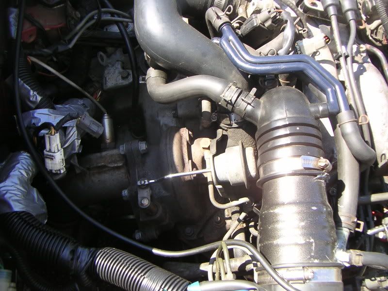 PICT0093.jpg
