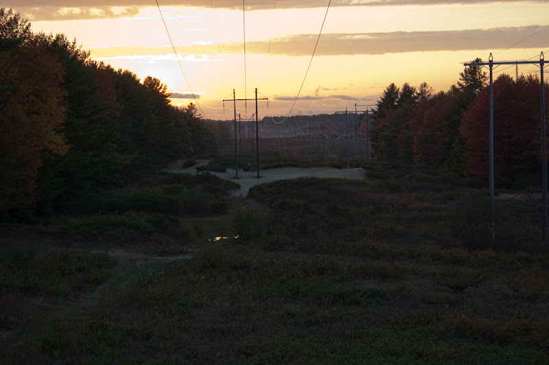 IMG_1415.jpg