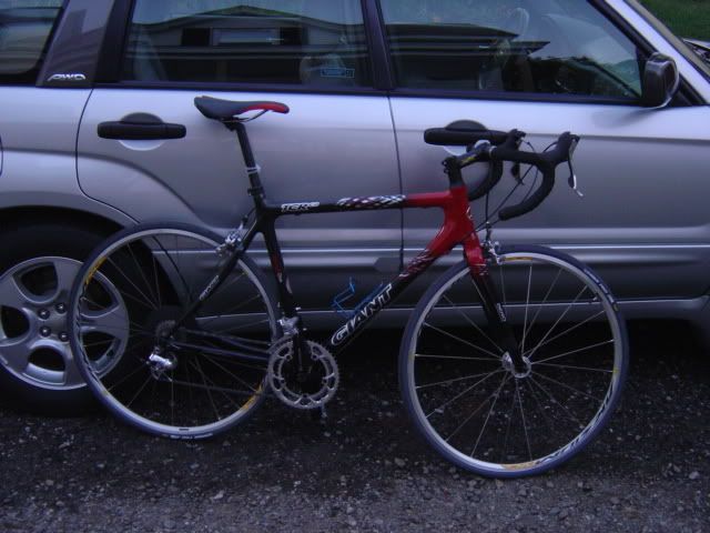 DSC02884.jpg