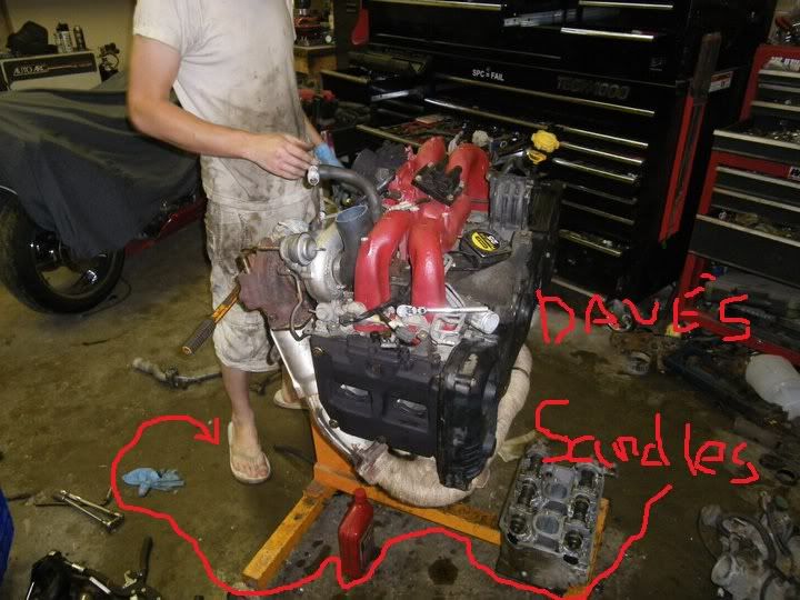 daves.jpg
