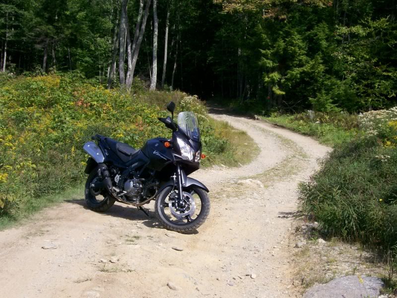 crockeraveandblueberryfield005.jpg