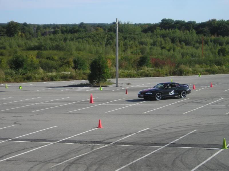 P1010008.jpg