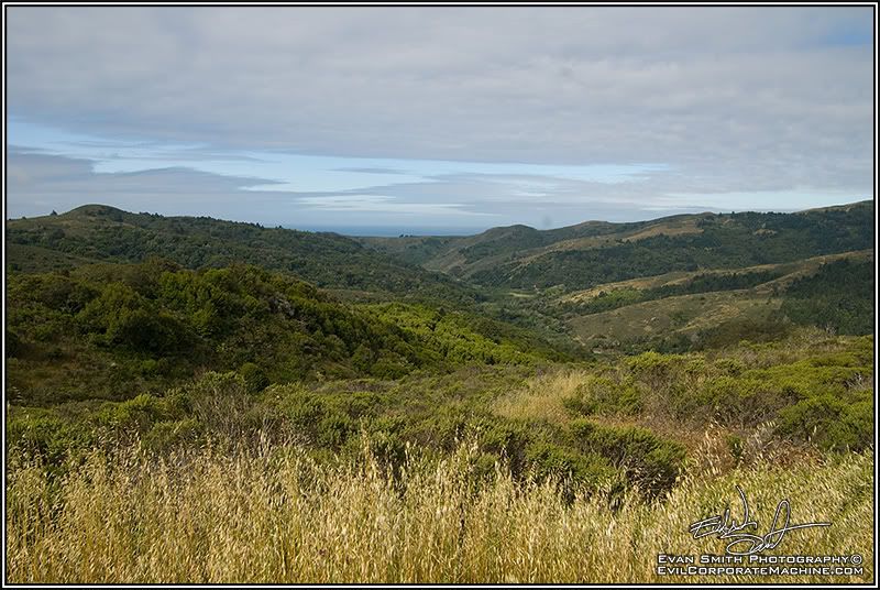 DSC_3514R.jpg