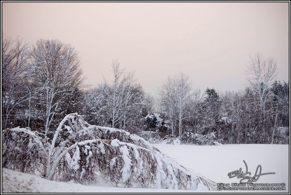 DSC_9546R.jpg