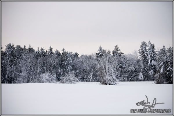 DSC_9547R.jpg