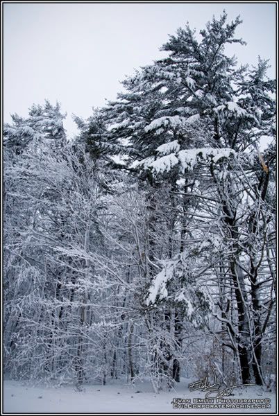 DSC_9553R.jpg