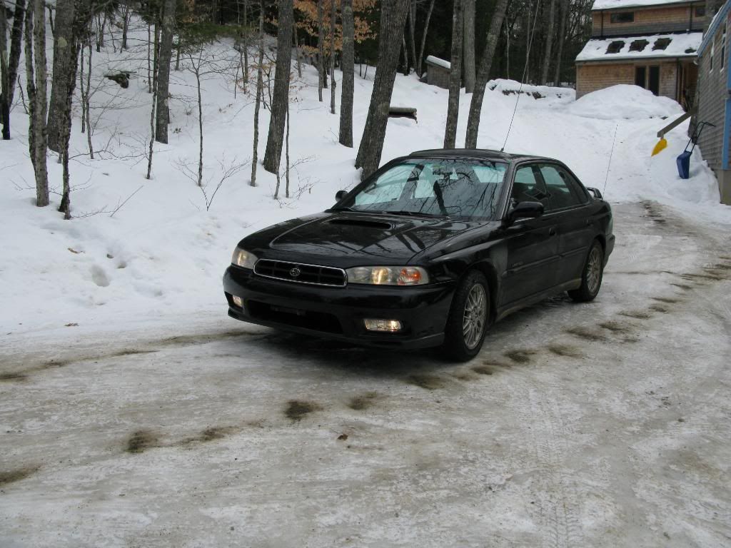 IMG_3537.jpg