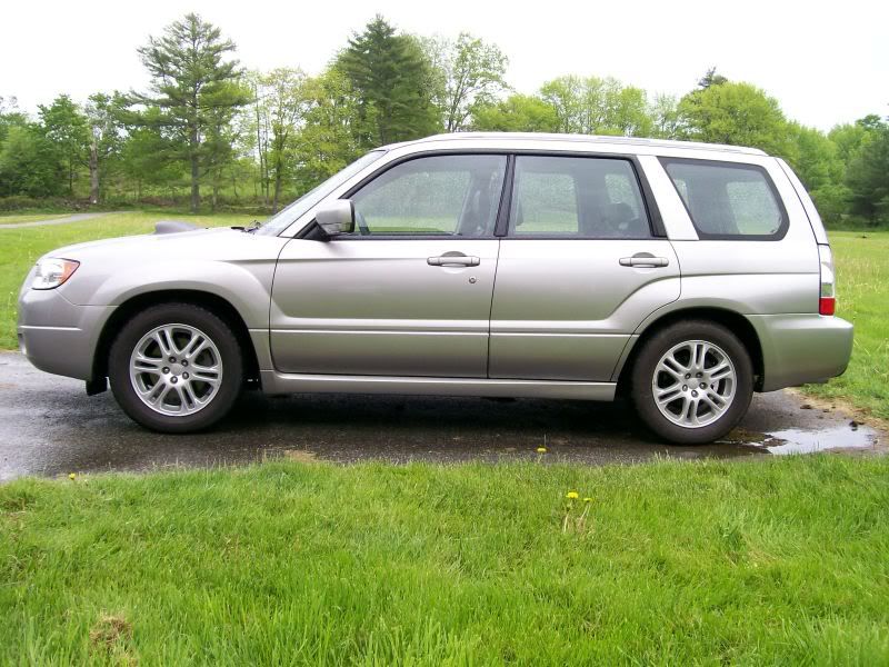 fozzy001-1.jpg