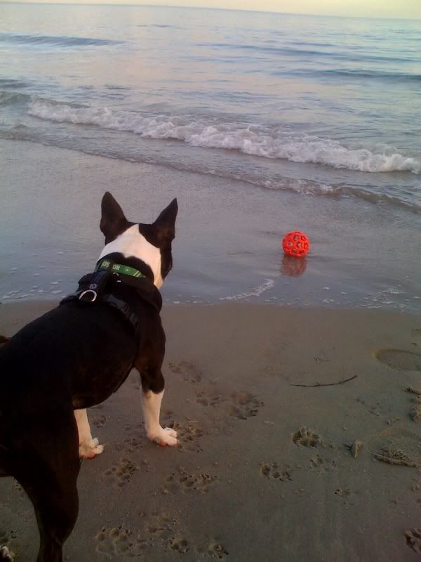 beach1.jpg