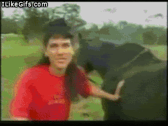 1257350683703.gif