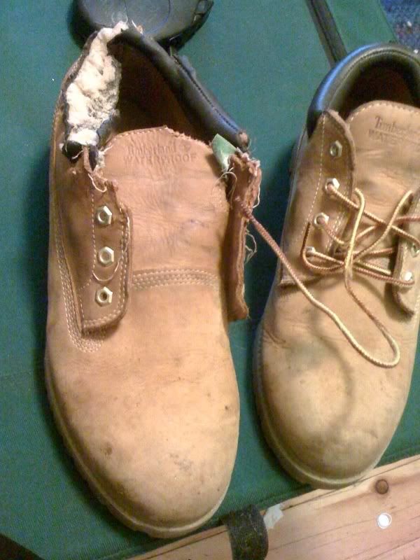 timbs.jpg