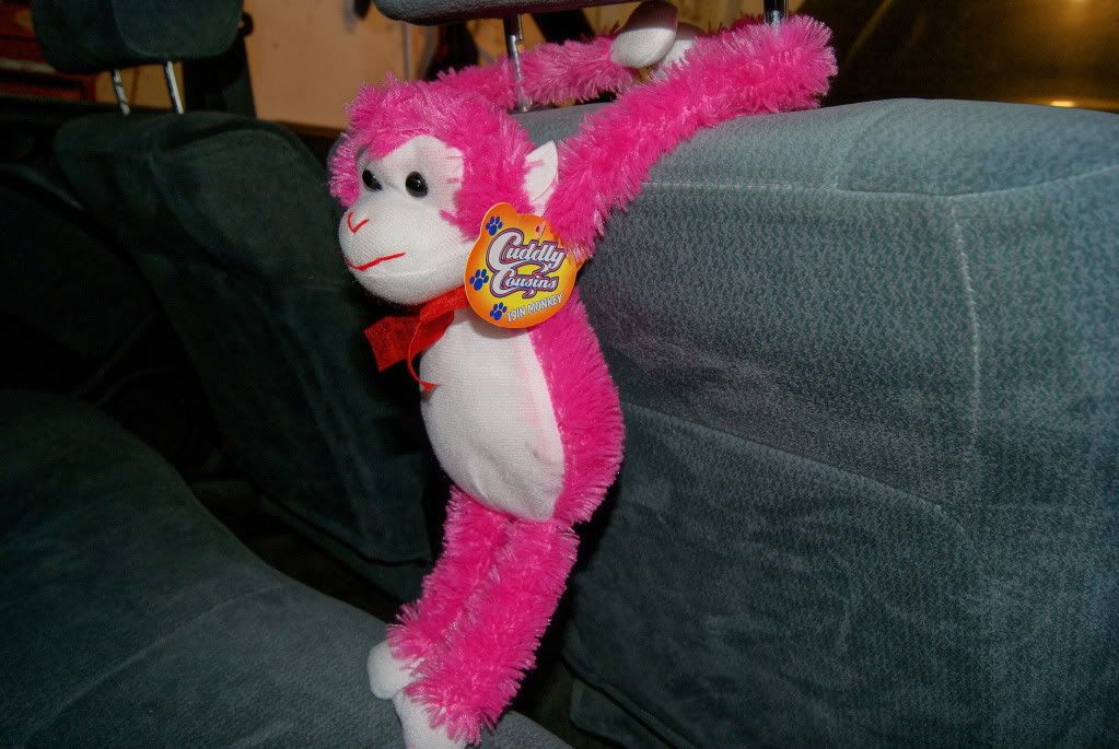 19inmonkey.jpg