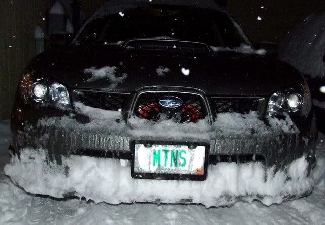 snowyfront-1.jpg
