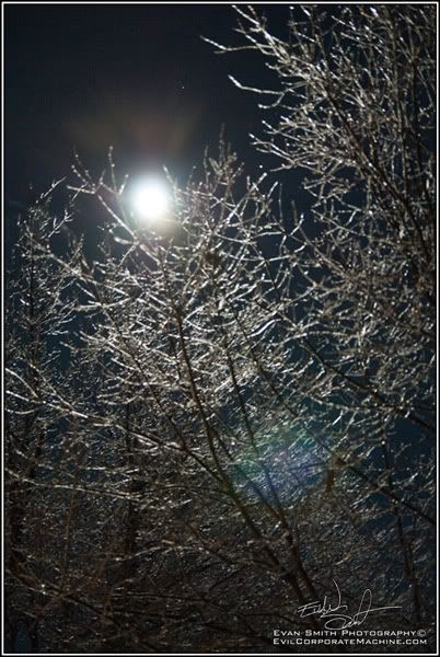 DSC_6814R.jpg