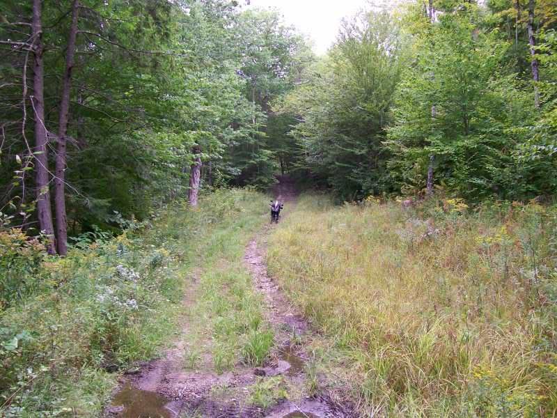 MoreOldRomeRdtrail.jpg