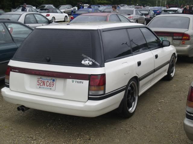 _8100184.jpg
