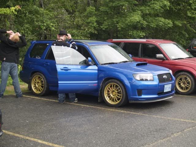 _8100190.jpg