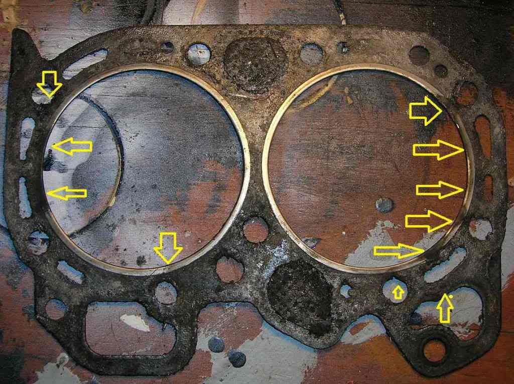 hgasketweb1.jpg