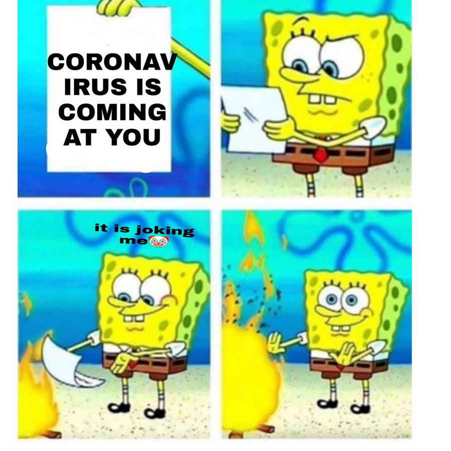 o6qw1.jpg