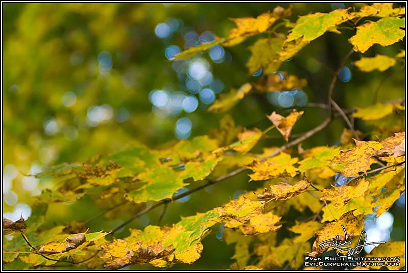 DSC_4745R.jpg