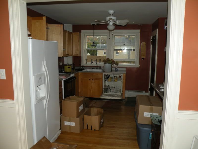 Picture003.jpg