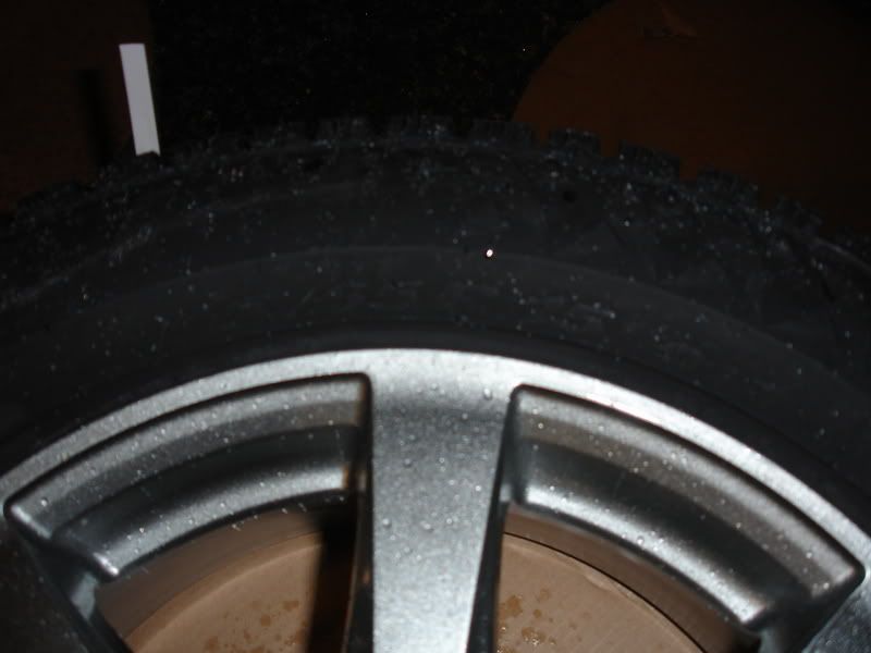 DSC01136.jpg