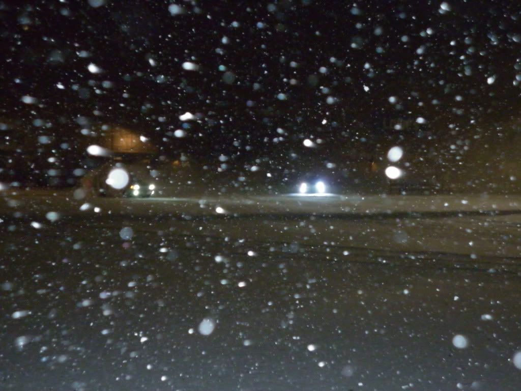 P1000044.jpg
