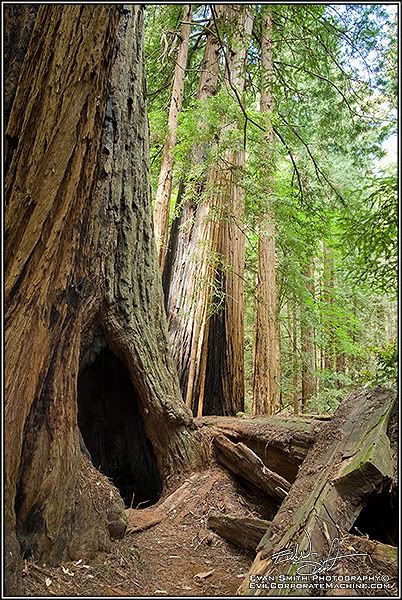 DSC_3578R.jpg