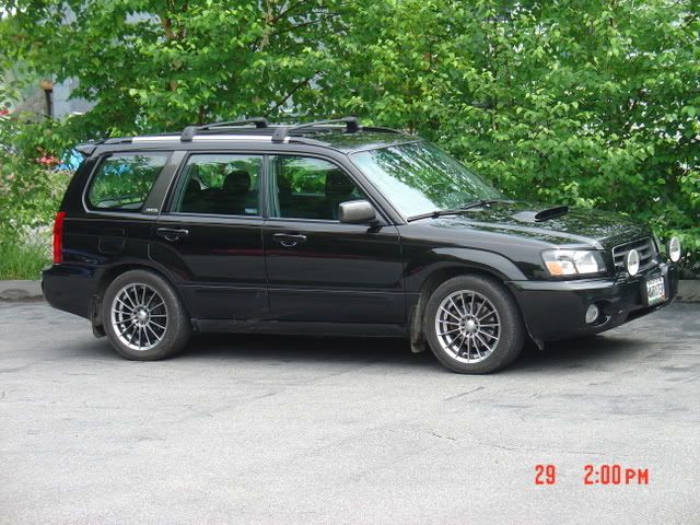 DSC01165.jpg