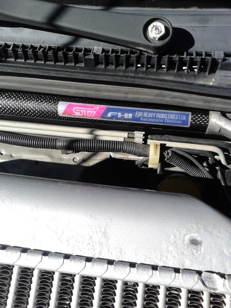 P82A0173.jpg