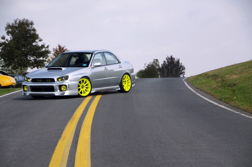 yeller.jpg