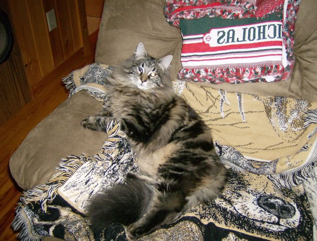 HPIM0337.jpg