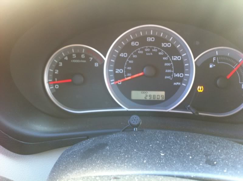 29981289.jpg
