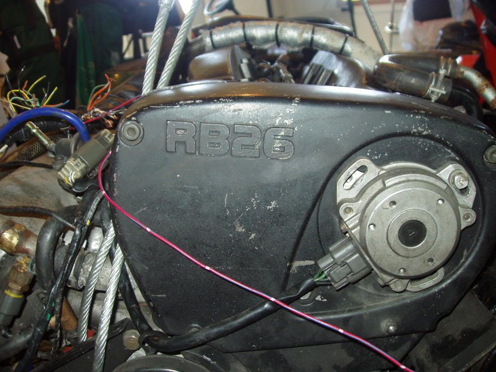P1010007.jpg